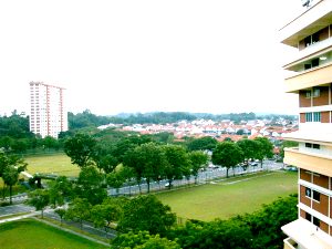 Shunfu303view.jpg